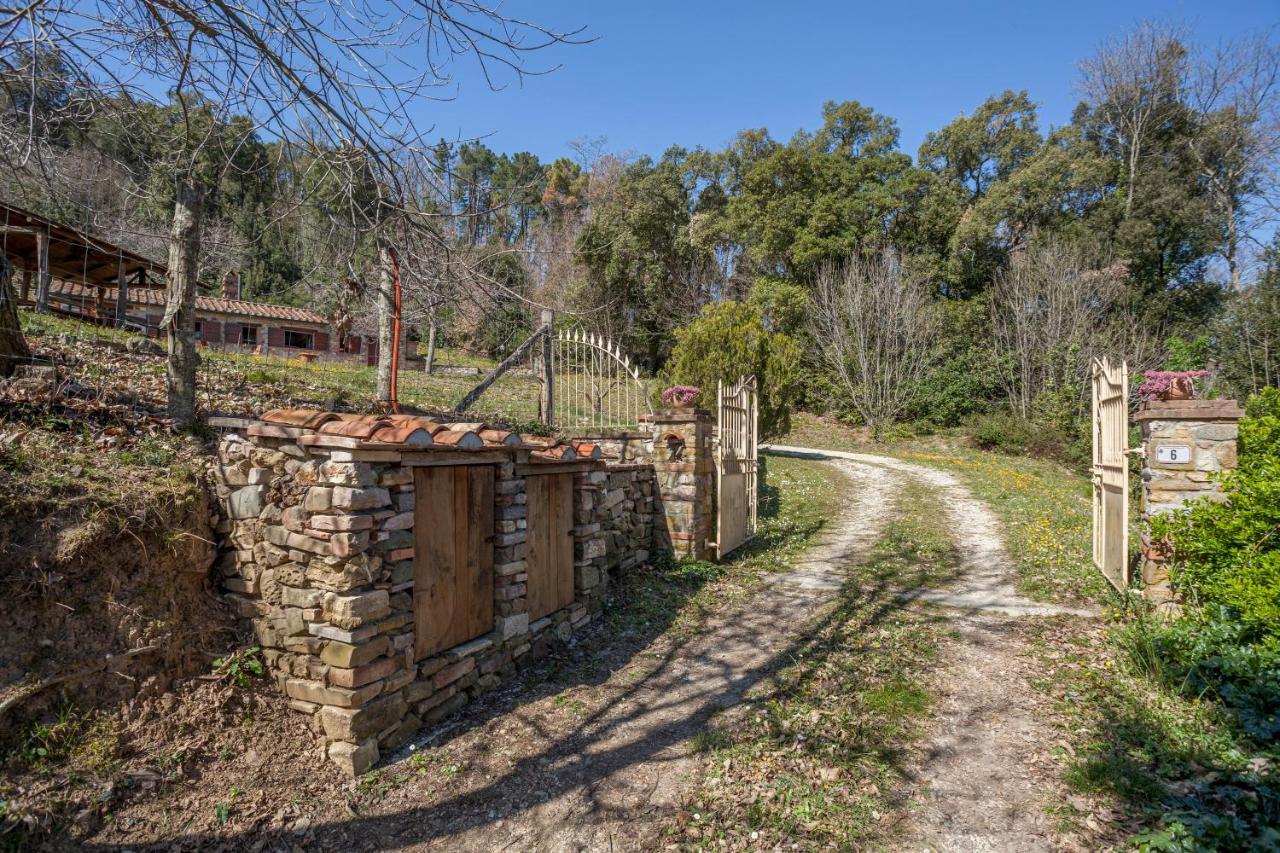Willa Casa Nel Bosco Sassetta Zewnętrze zdjęcie