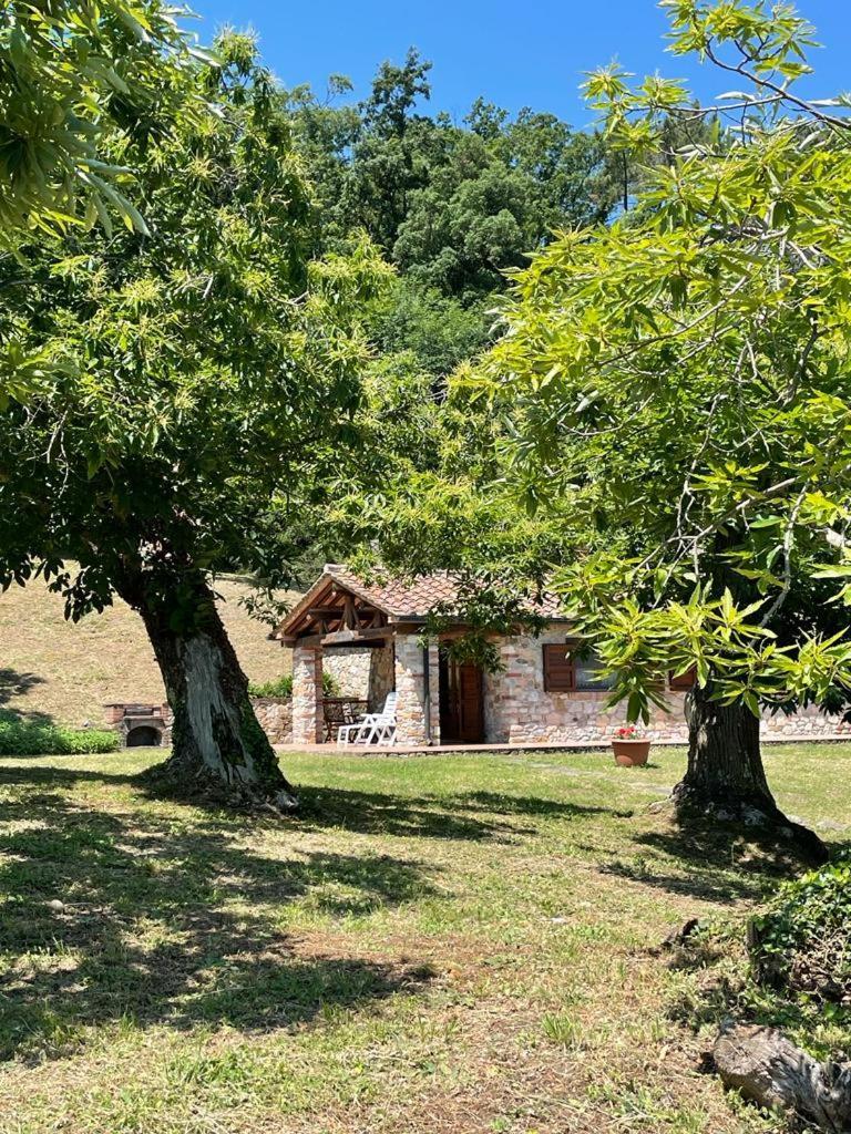 Willa Casa Nel Bosco Sassetta Zewnętrze zdjęcie